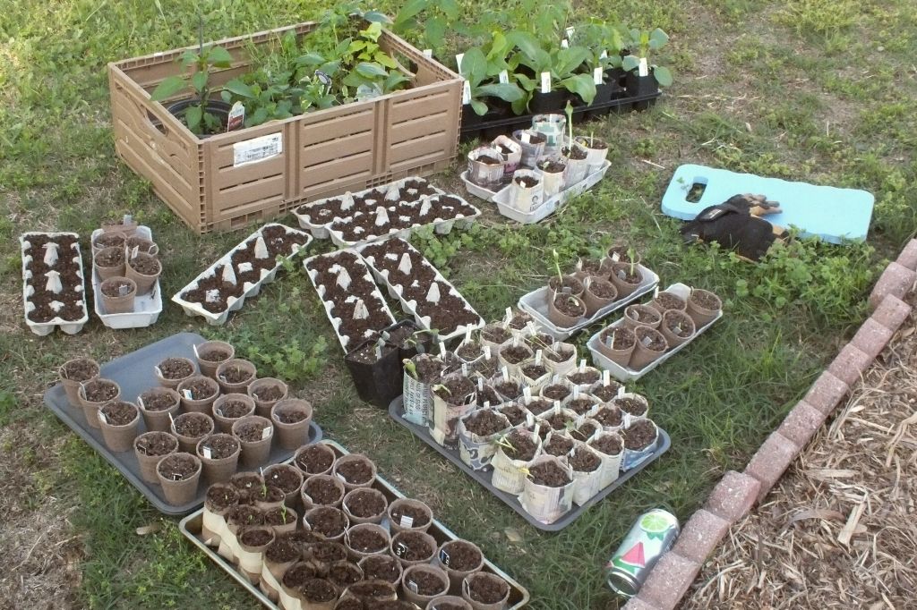 3 Diy Biodegradable Nursery Pots