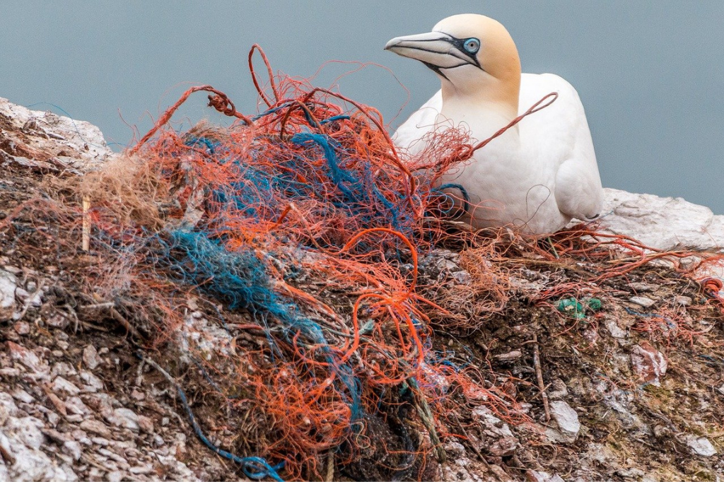 Fast Fashion and Pollution